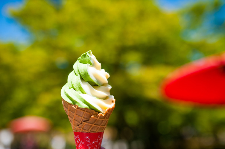 ice-cream-golden-pavilion-kyoto-japan-955