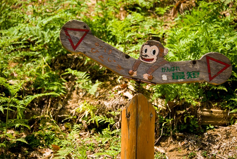 kyoto-monkey-park-072