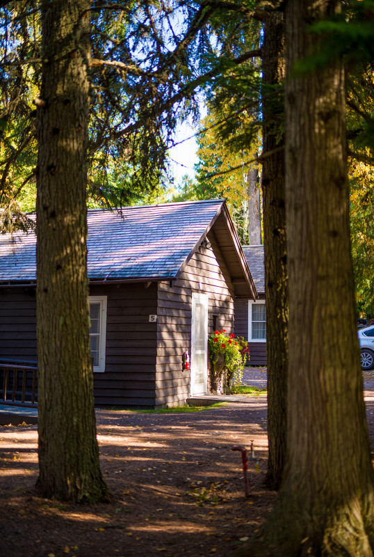 lake-mcdonald-lodge-cabins