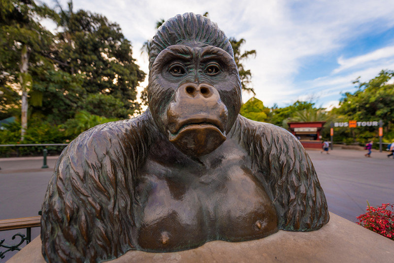 san-diego-zoo-california-641
