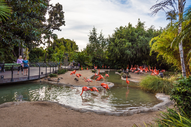 san-diego-zoo-california-642