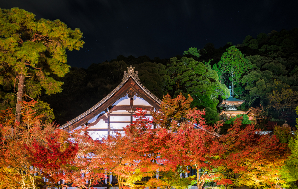 Japan Fall Colors Forecast Autumn Foliage Viewing Guide Travel Caffeine