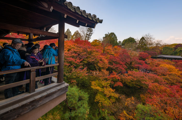 Top 10 Fall Colors Spots in Kyoto, Japan - Travel Caffeine