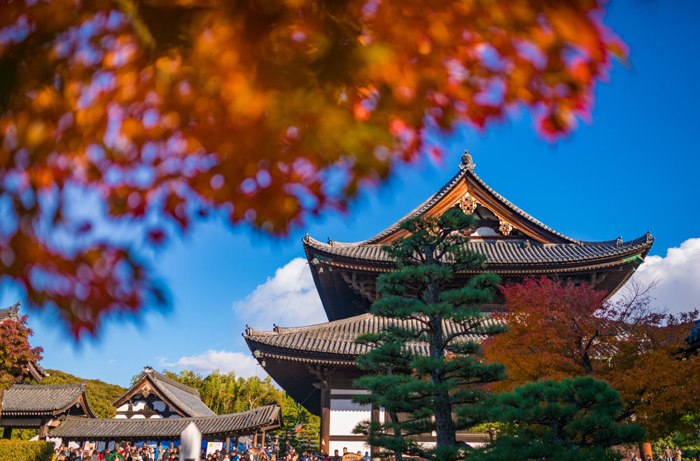 Tofukuji Temple Info Kyoto Japan Tips Travel Caffeine Tofukuji Temple Info Kyoto Japan Tips Travel Caffeine