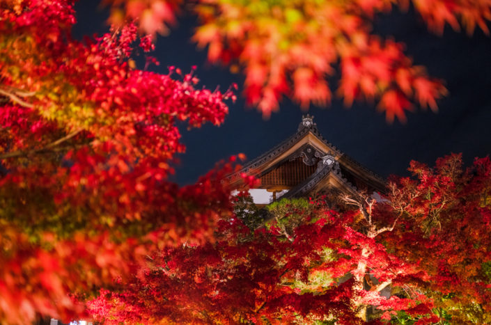 Top 10 Fall Colors Spots in Kyoto, Japan - Travel Caffeine