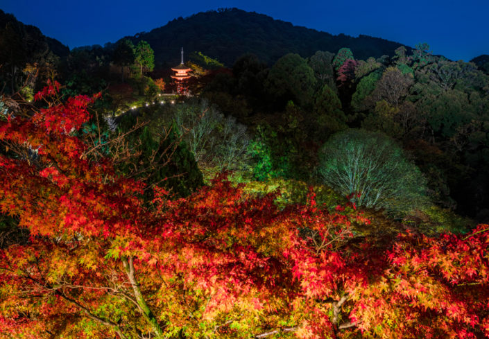 Top 10 Fall Colors Spots in Kyoto, Japan - Travel Caffeine