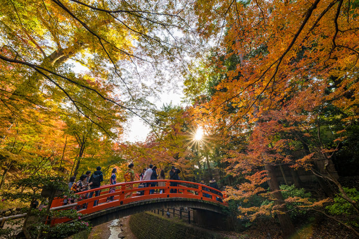 Top 10 Fall Colors Spots in Kyoto, Japan - Travel Caffeine