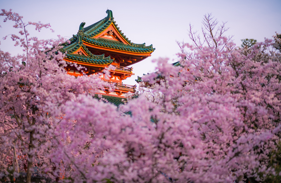 Heian Shrine Review, Info & Tips - Travel Caffeine
