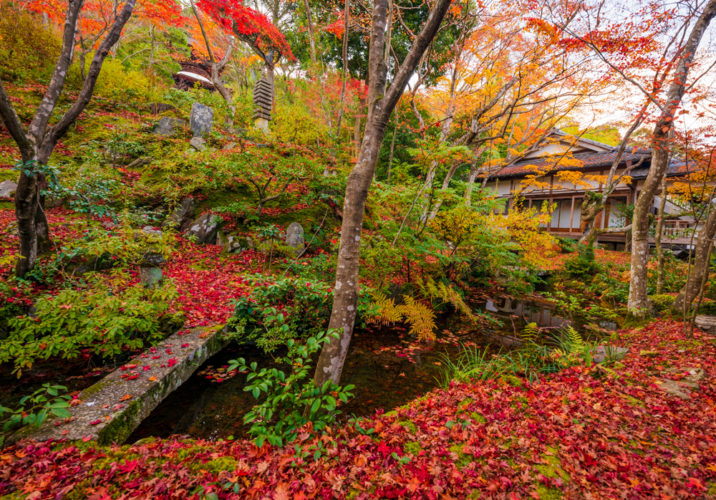 Jojakkoji Temple Review, Info & Tips (Kyoto, Japan) - Travel Caffeine
