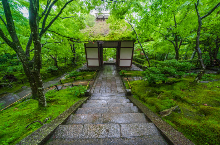 Jojakkoji Temple Review, Info & Tips (Kyoto, Japan) - Travel Caffeine