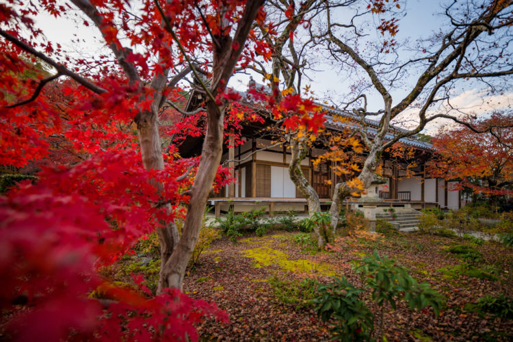 Jojakkoji Temple Review, Info & Tips (Kyoto, Japan) - Travel Caffeine