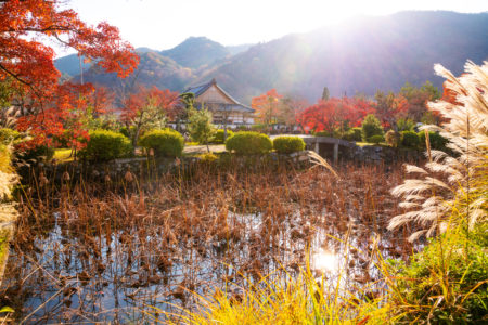 2-Day Kyoto, Japan Fall Colors Itinerary - Travel Caffeine