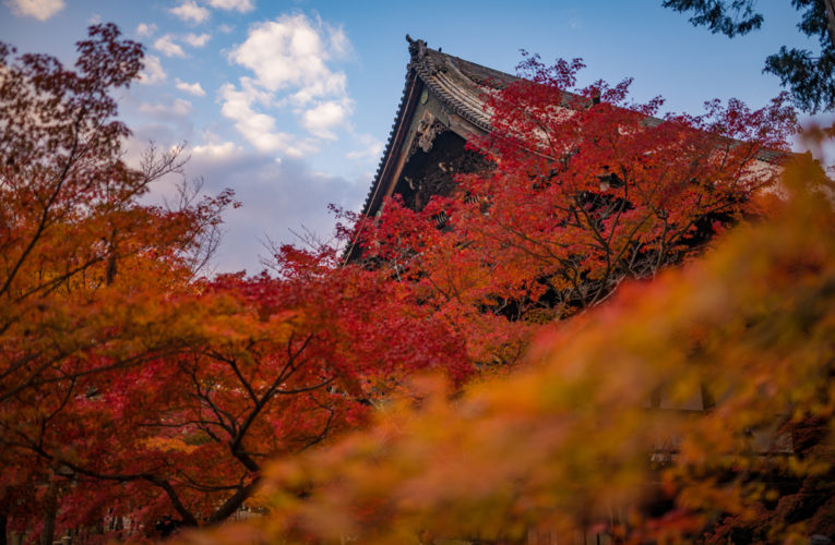Best Free Temples & Shrines in Kyoto, Japan - Travel Caffeine