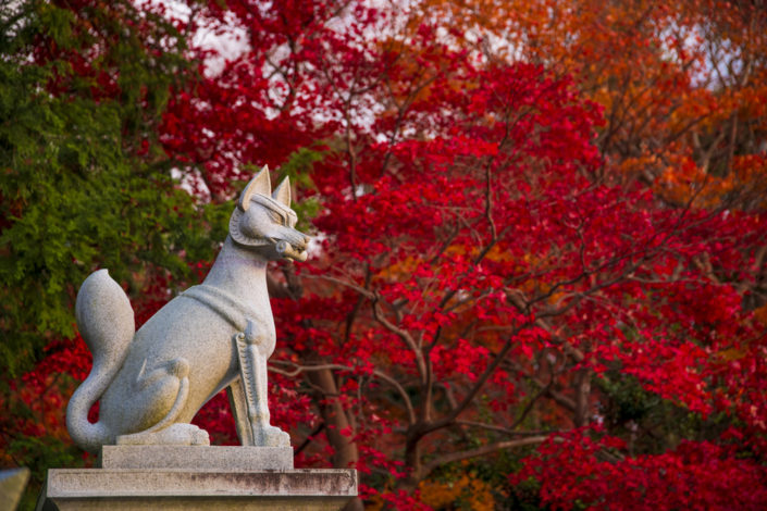 1-Day Kyoto, Japan Fall Colors Itinerary - Travel Caffeine