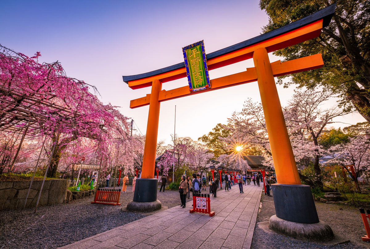 Best Times to Visit Japan