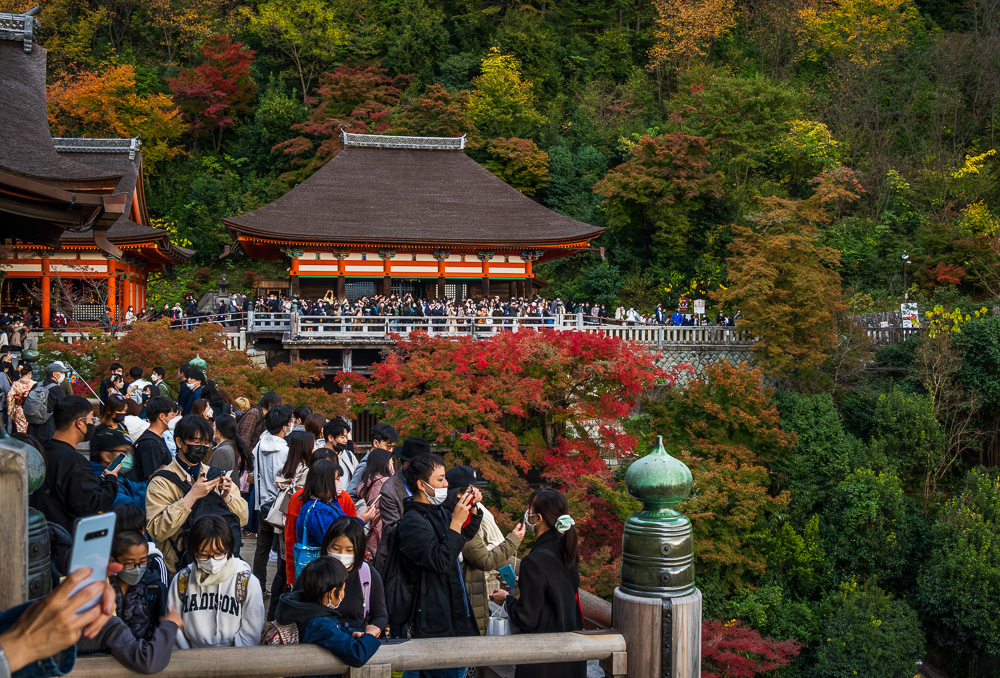 When to Visit Kyoto, Japan: Best & Worst Times (2023)